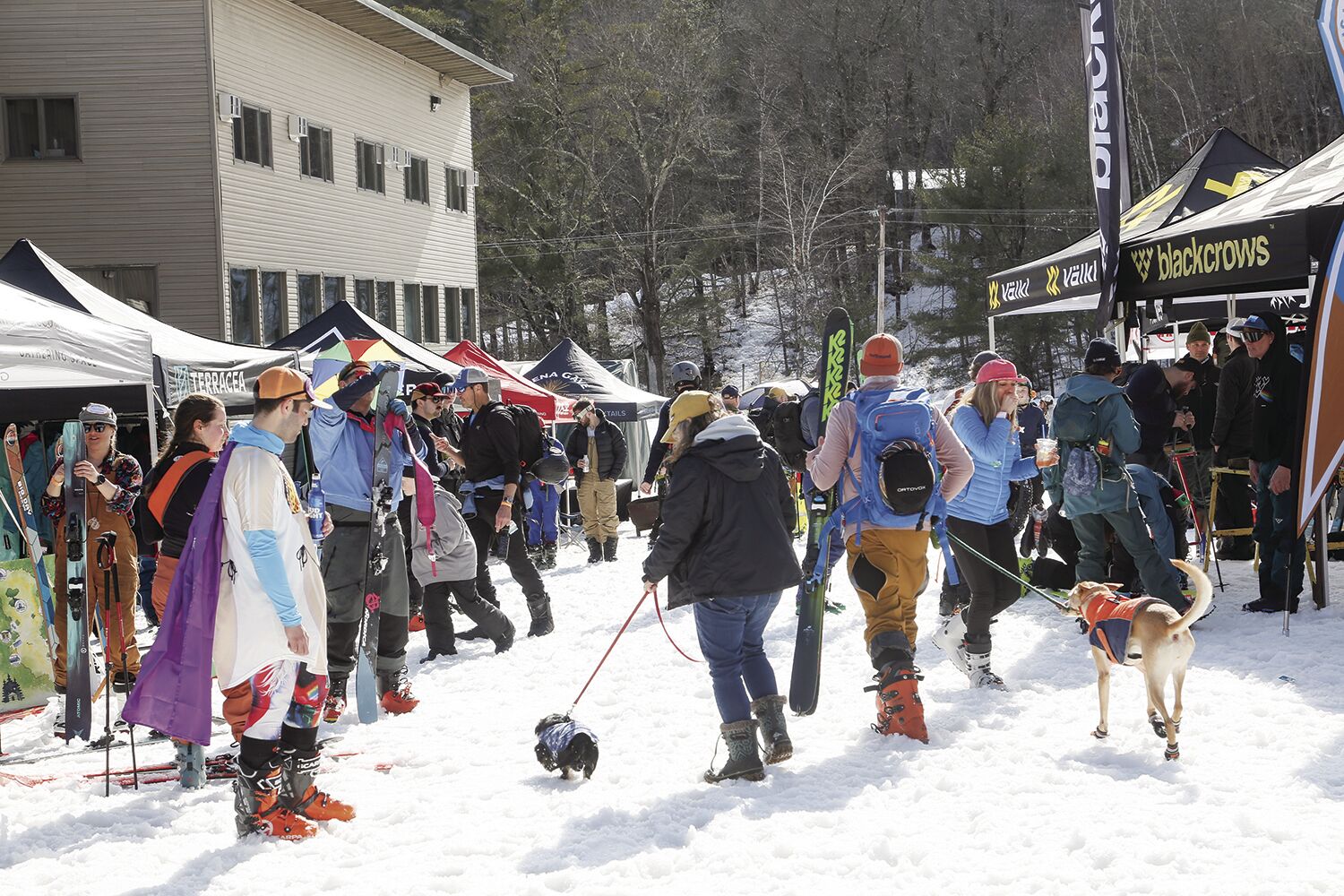 Wild Corn returning to King Pine April 5-7